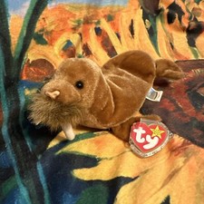 Ty Beanie Baby Paul the Walrus 1999 P.E. mint w/ tag. Rare. Excellent Condition