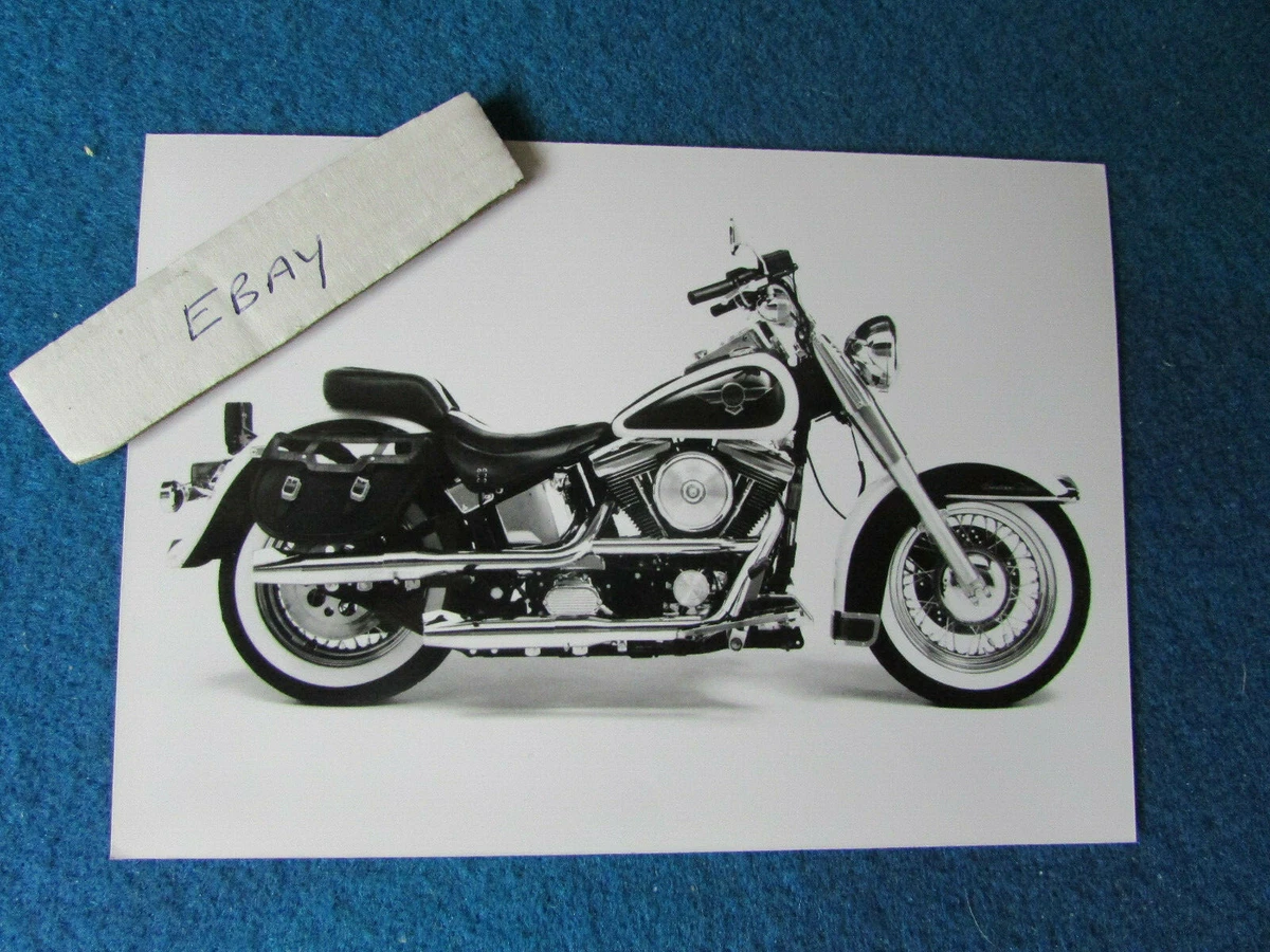 Harley Davidson Original Press Promo Photo Unidentified Model B
