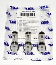  Cat Pump 76978 VALVE KIT for CAT 4DX10 - 4DX30ER Pumps - Priority Ship