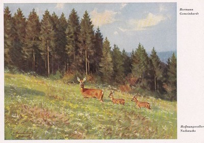Künstler Postkarte - Hermann Gemeinhardt ''Hoffnungsvoller Nachwuchs'' (64)