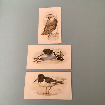 Three  Player Grandee British Bird Cards - Puffin - Barn Owl - Oystercatcher WB1