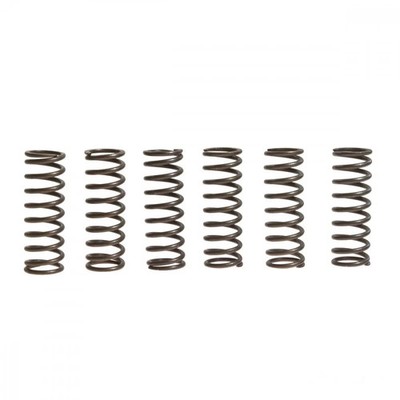 Kupplungsfeder verstärkt (6Stk) EBC CSK043 für Honda VTR 1000 SP2 Bj. 2002-2005