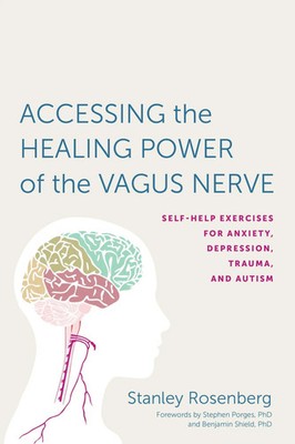 Accessing the Healing Power of the Vagus Nerve | Stanley Rosenberg | Taschenbuch