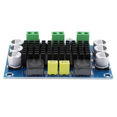 Innovative 100W Digital Endstufe mit für TPA3116D2 und Schutzfunktionen