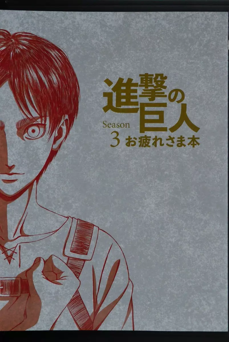 Shingeki no Kyojin Season 3 (Attack on Titan Season 3