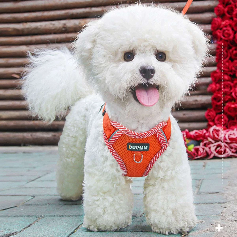 Dog Harness for Small Dogs Adjustable Puppy Cat Harness Vest Pet Outdoor Walking