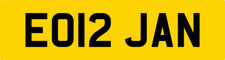 JAN JANE JANET JANICE JANS COOL NUMBER THEME PRIVATE REGISTRATION PLATE EO12 JAN