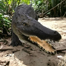 Saltwater Crocodile Incredible Creatures Figure Safari Ltd Crocodilian Croc Toy