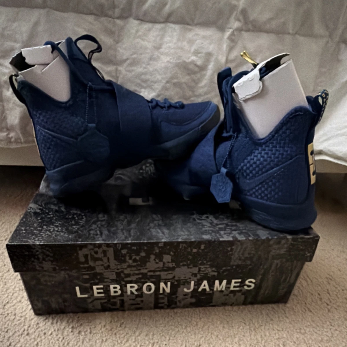 Nike LeBron XIV Men's Sneakers for Sale | Authenticity Guaranteed