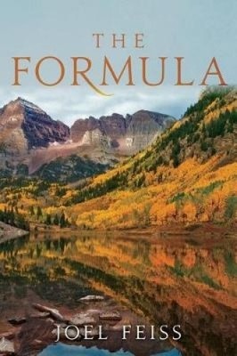 The Formula by Joel Feiss [Paperback]