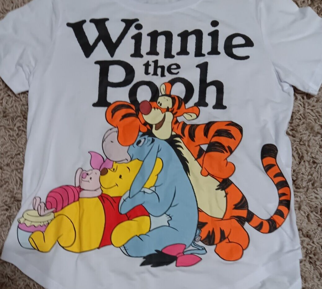 Winnie the Pooh Friends T Shirt Teens Front Back Graphics Large