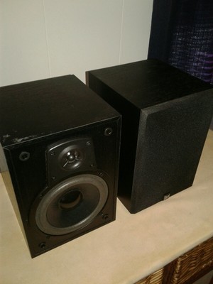 dual bookshelf speakers