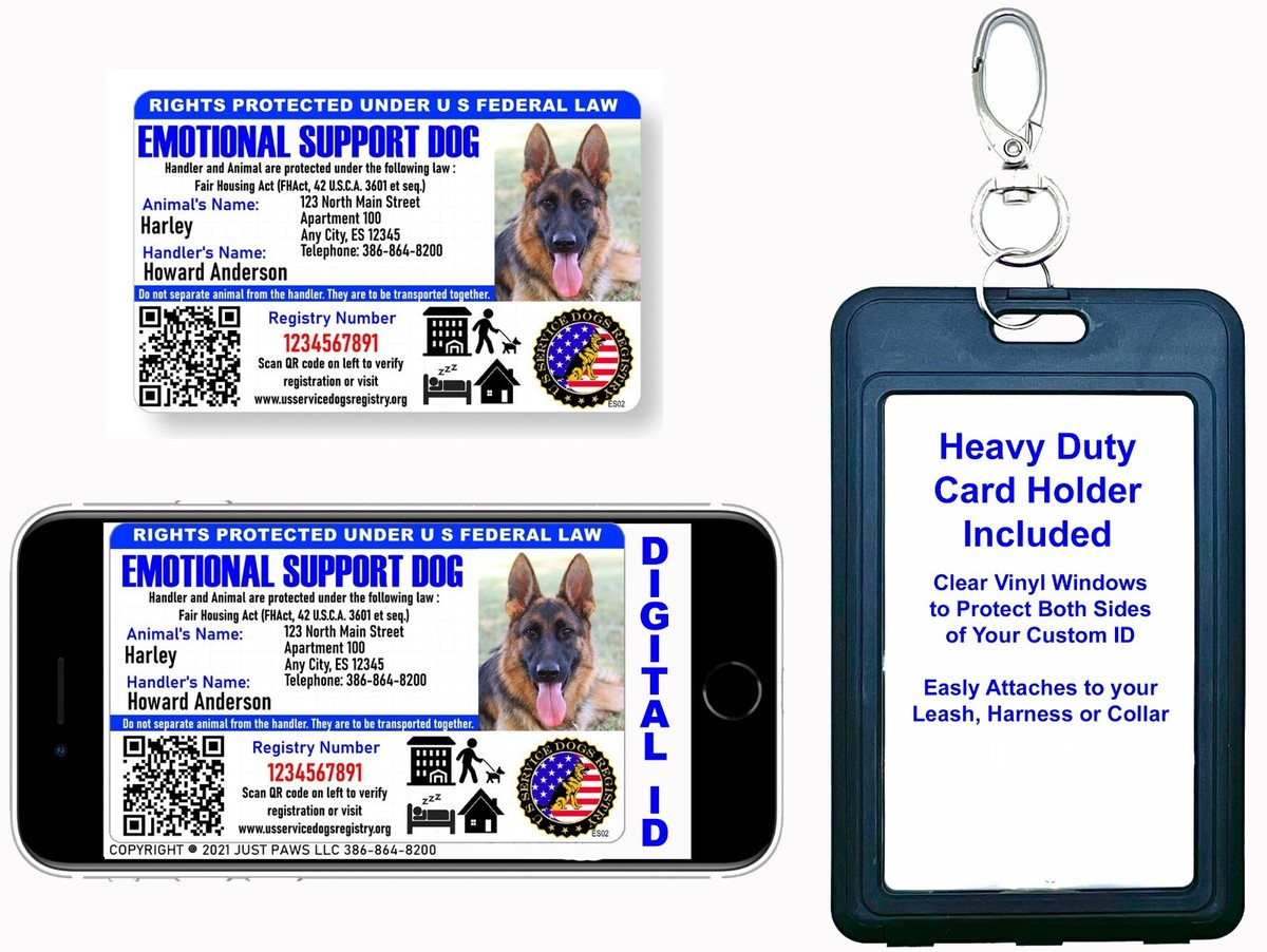 Dog ID Tubes Holographic Card With QR Code & Holder - Personalized ...