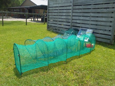 kittywalk lawn cat enclosure