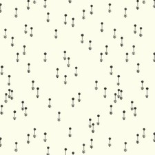 Birch Organic Fabric Charley Harper The Desert CH 216 Cream Desert Flowe Cotton