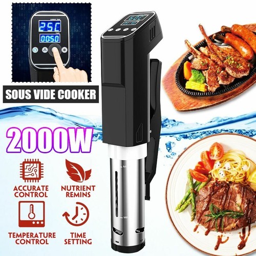food immersion circulator