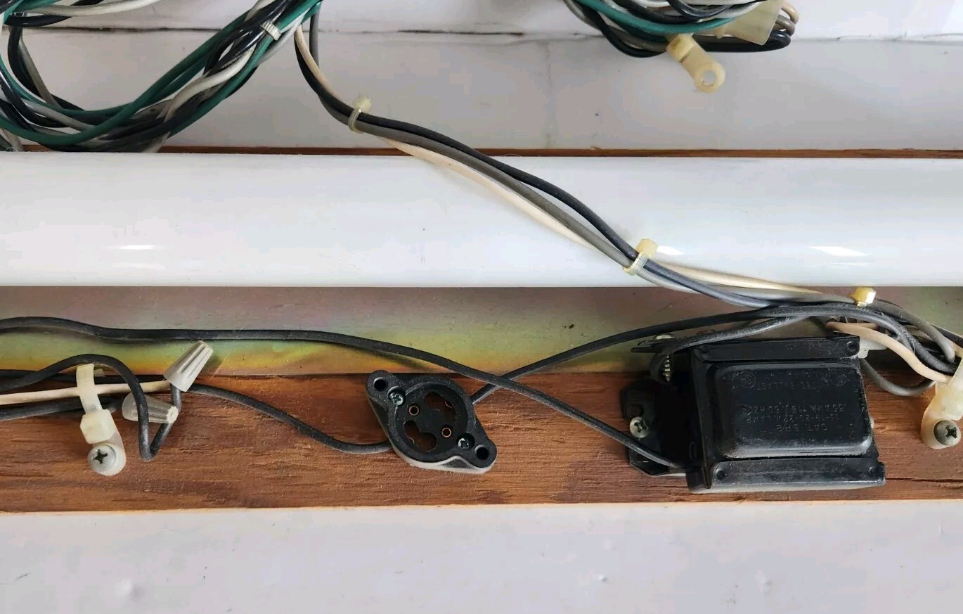 Picture 5 of 11