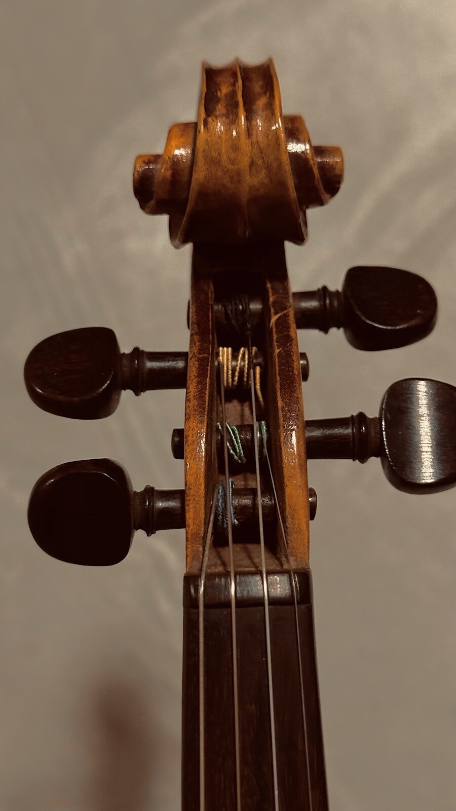 4/4 Gustav Wunderlich violin 1927 eBay