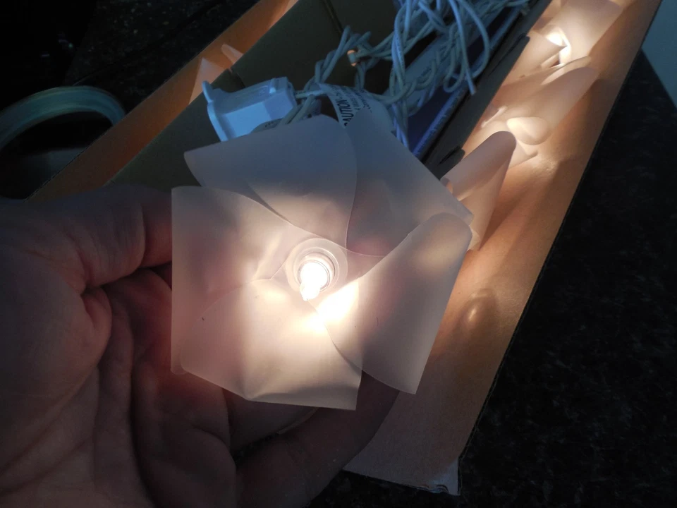 Cadena de luces flores florales Pottery Barn para adolescentes flores iridiscentes flora nuevo en caja Foto 4 de 4