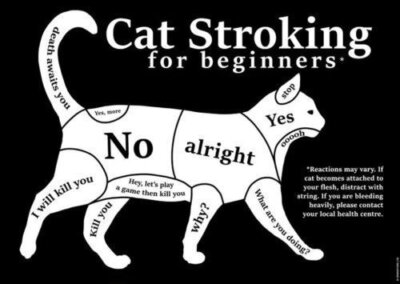 62937 Cat Stroking For Beginners Wall Decor Print Poster