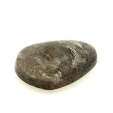 Pierres et Minéraux. 99.37 cts QUARTZ DANDRITE Brésil.