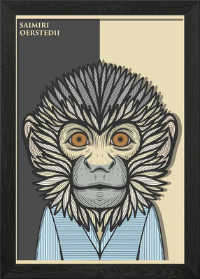 American Squirrel Monkey Framed Wall Art Poster Canvas Print Picture