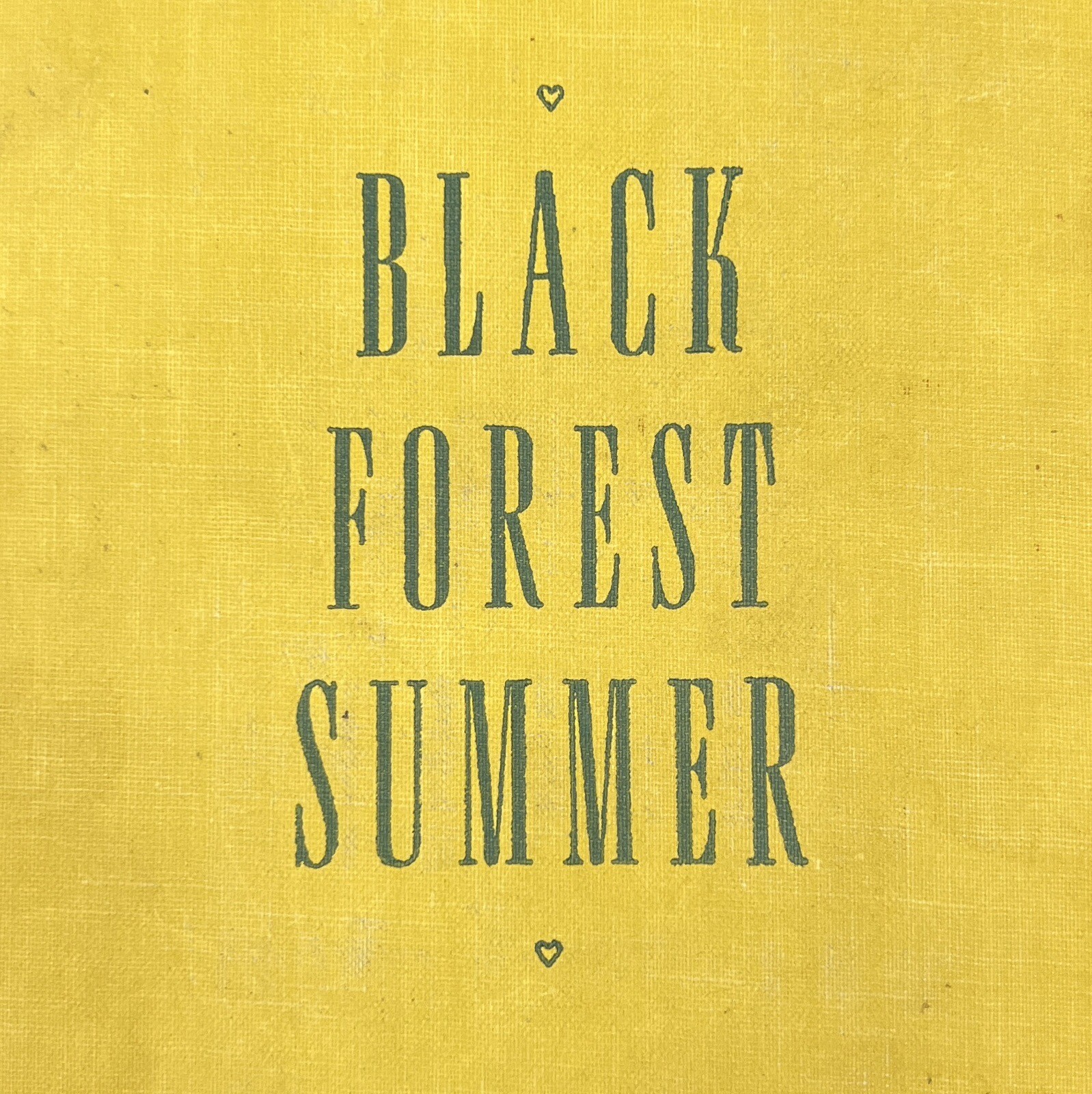 Black Forest Summer by Mabel Esther Allan (Hardcover) Second Printing