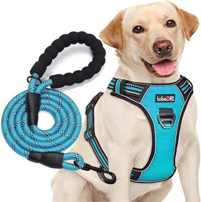 TobeDRI  No Pull Dog Harness Adjustable Reflective Oxford Easy Control (M Blue)