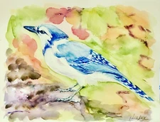 Blue Jay  Bird Original Watercolor Painting 