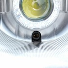 Foto 9 di 9