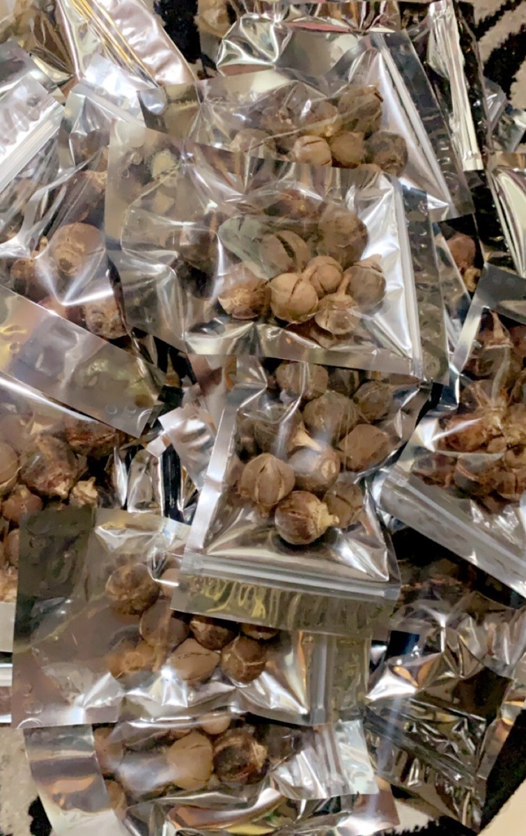Complément Naturel Goron Tula - 10 Pièces, Extrait De Plantes, Pour Libido Et Endurance - Péremption 05/2023