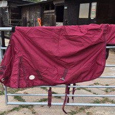 Porter Horse L/w Turnout Rug 5