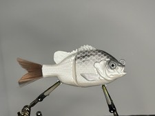 Custom Painted 5" Bluegill Glide Bait With Rattles- Slow Sinking