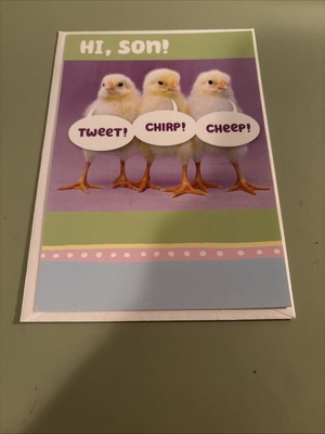 Hallmark  Son  Easter Greeting Card-New 