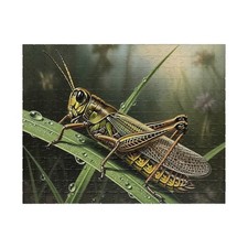 Grasshopper Jigsaw Puzzle 252-piece bug insect watcher nature USA ship gift