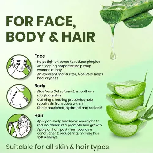 3 Best Aloe Vera Gel Hair Mask For Deep Conditioning, Dandruff Problem And  Healthy Hair