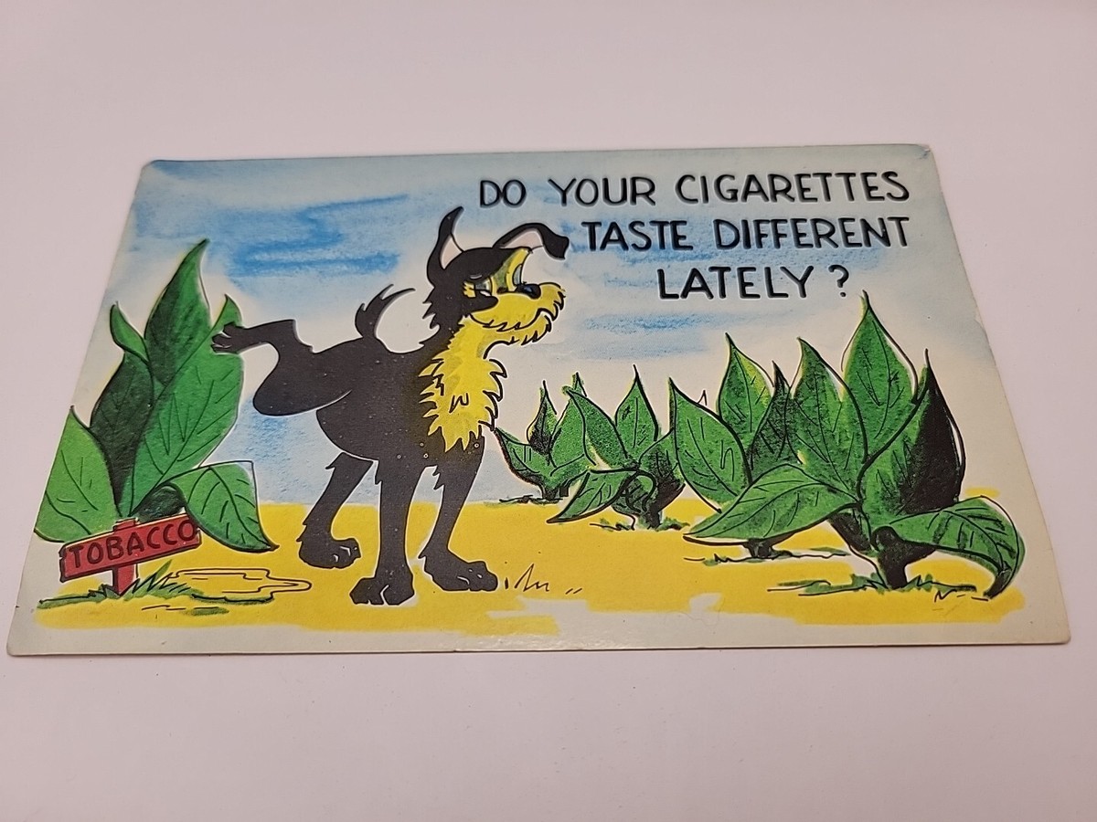 Postcard Humor Dog Tobacco Do Cigarettes Taste Different Lately c1959  BlueBK