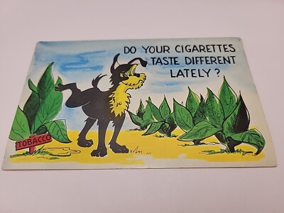 does your tobacco taste different lately Postcard Humor Dog Tobacco Do Cigarettes Taste Different Lately c1959  BlueBK