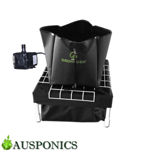 GROWLUSH HYDROPONICS WATER SYSTEM 40 Grow Room System With 19L Pot & Water Pump - Picture 1 of 1