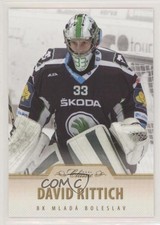 2015-16 OFS Classic ELH Czech Extraliga David Rittich #89 b7o