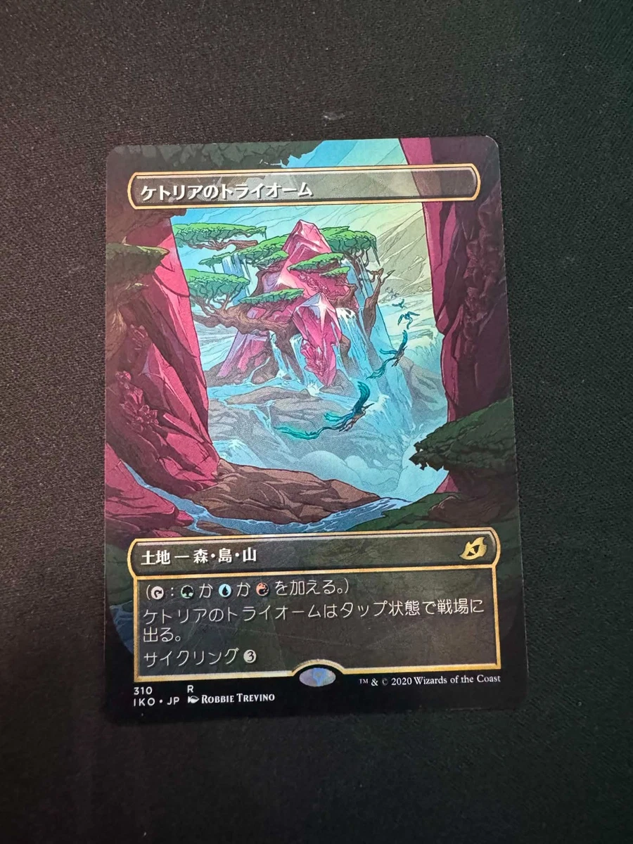 Land Magic: The Gathering Individual Trading Card Games in