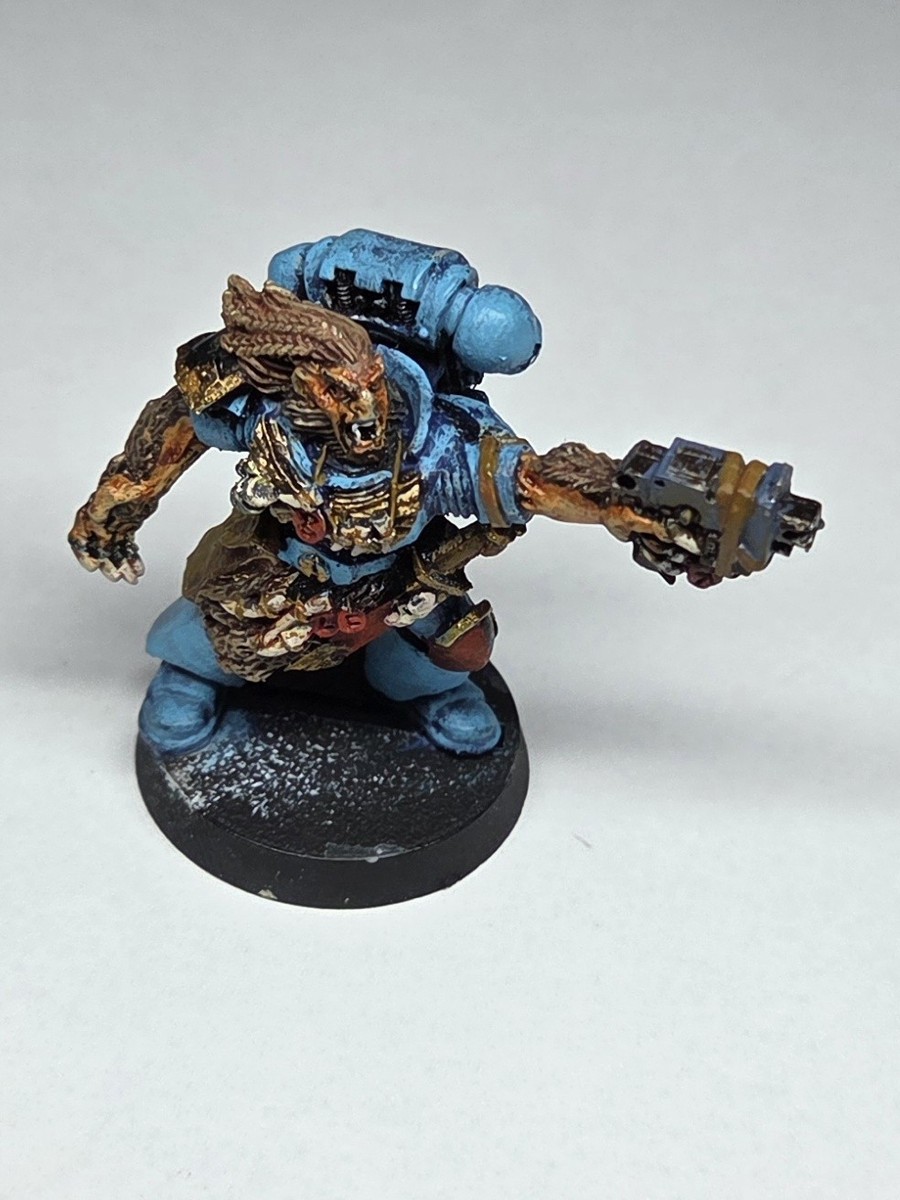 Warhammer 40k – Space Wolf Wulfen – 5 Figurines Plastique – Griffes, Marteaux, Boucliers – Pièces Décoratives Incluses