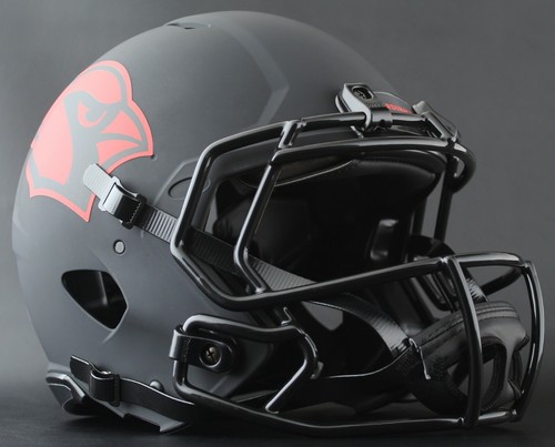 ARIZONA CARDINALS NFL Riddell SPEED 