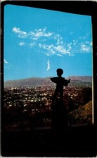 Forest Lawn Museum Picture Window Panoramic View San Fernando Valley Postcard