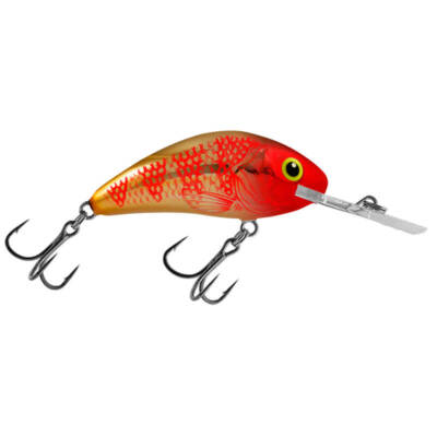 Salmo Rattlin Hornet Wobbler Golden Red Head Kunstköder Köder Barsch Rapfen