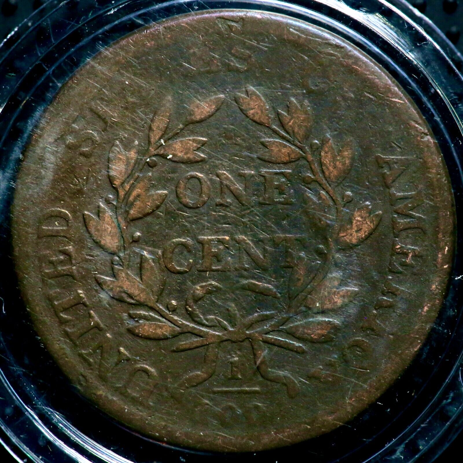 Picture 5 of 12
