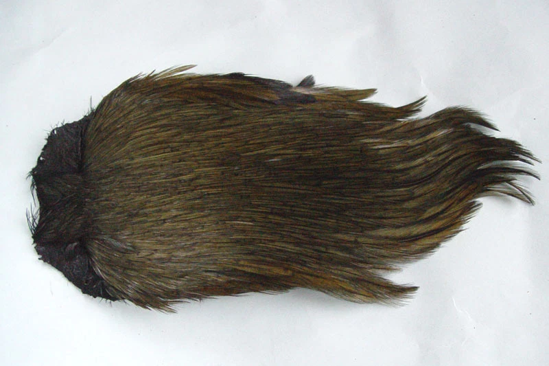 Cou de coq IndienOLIVE montage mouche seche montage mouche seche mosca fly tying