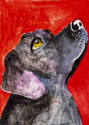 ACEO Original Aquarell. Hundebellen Traurige Augen Woof Loyal Spielleine 