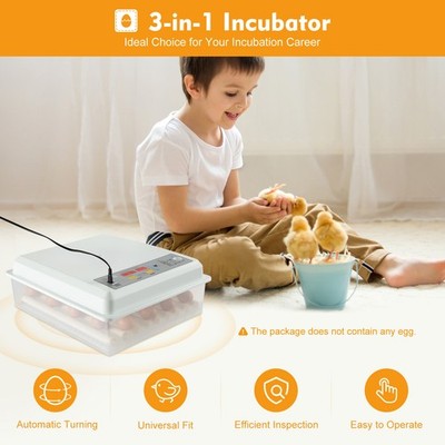 Egg Incubator 64 Eggs Fully Digital Automatic Hatcher Fits Hatching Chicken Farm