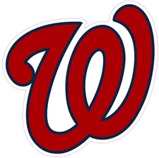 NOT A PATCH  Washington Nationals HTV Heat Press Transfer Vinyl Iron On